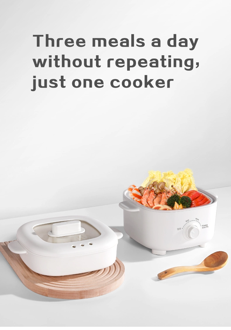 Mini Hot Pot Electric Cooking Electric Stock Pot with Steamer Multi Function Electric Cooker